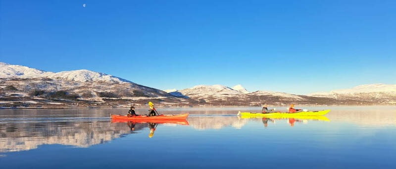 Tromsø: Easy Winter Kayaking Tour with Seal Watching - An In-Depth Look at the Arctic Kayaking Experience