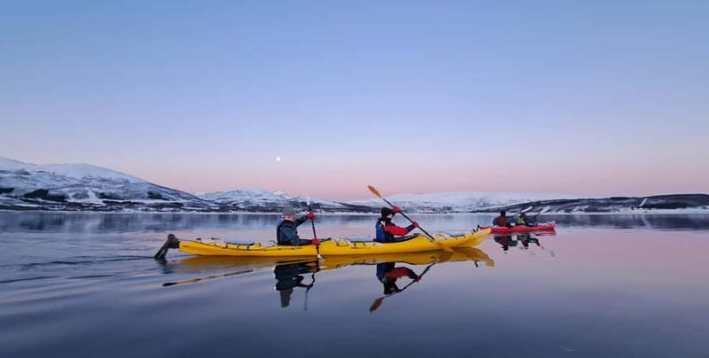 Tromsø: Easy Winter Kayaking Tour with Seal Watching - What’s Included & What to Prepare