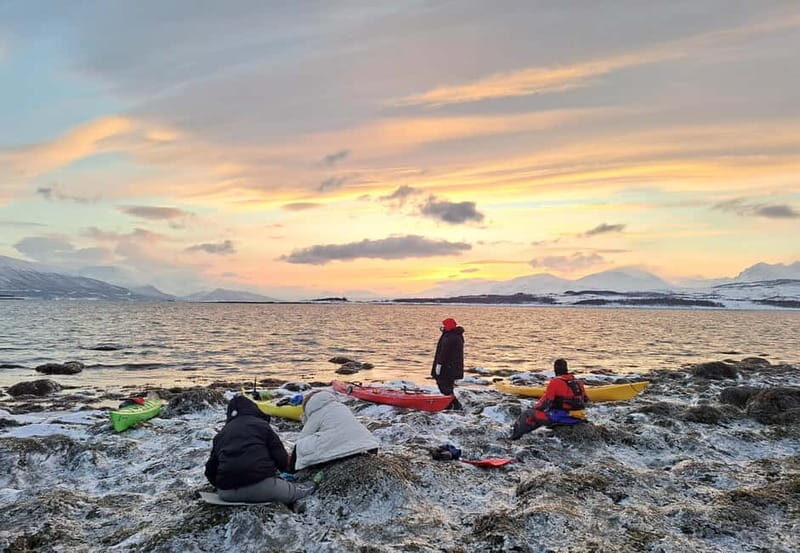 Tromsø: Easy Winter Kayaking Tour with Seal Watching - Who Should Consider This Tour?