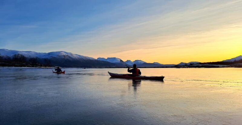 Tromsø: Easy Winter Kayaking Tour With Seal Watching - Inclusions