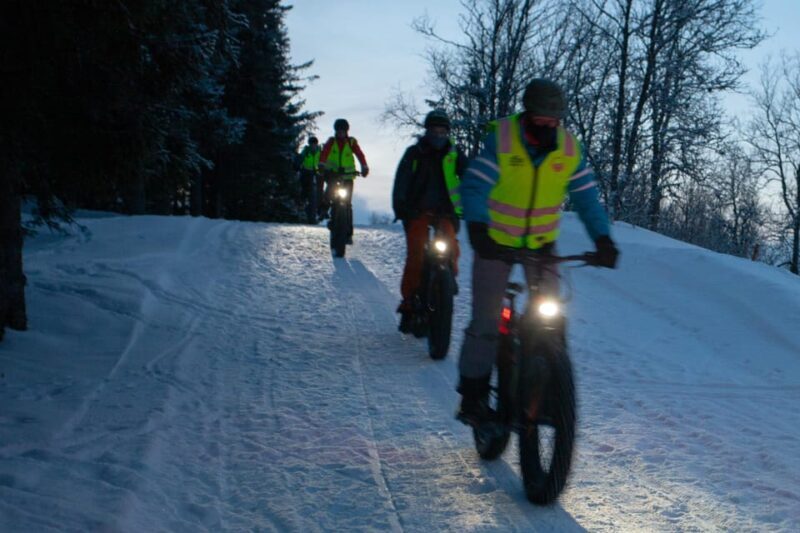 Tromsø: Electric fatbike trip on winter paths - The Authentic Touch: Food and Warmth