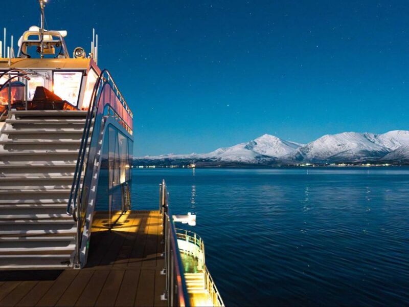 Tromsø: Electric Northern Lights Cruise - Experience the Northern Lights