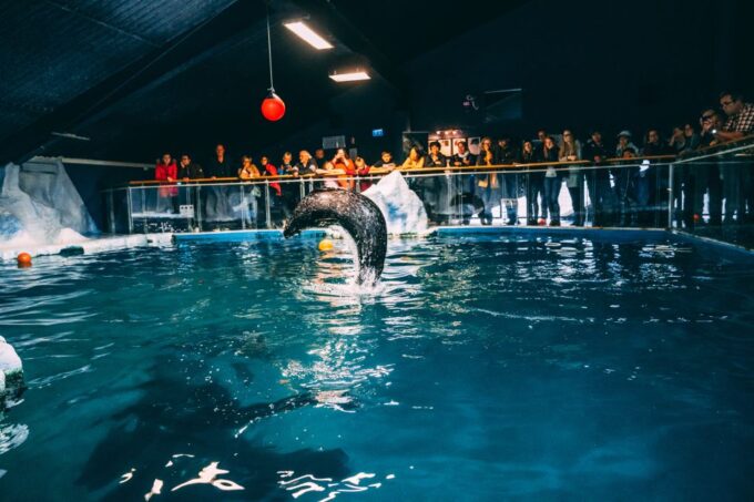 Tromsø: Entrance Ticket to Polaria - Interactive Exhibits and Activities