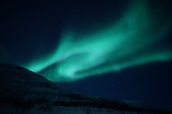 Tromsø: Evening Cruise with Northern Lights Opportunity - Key Points  
