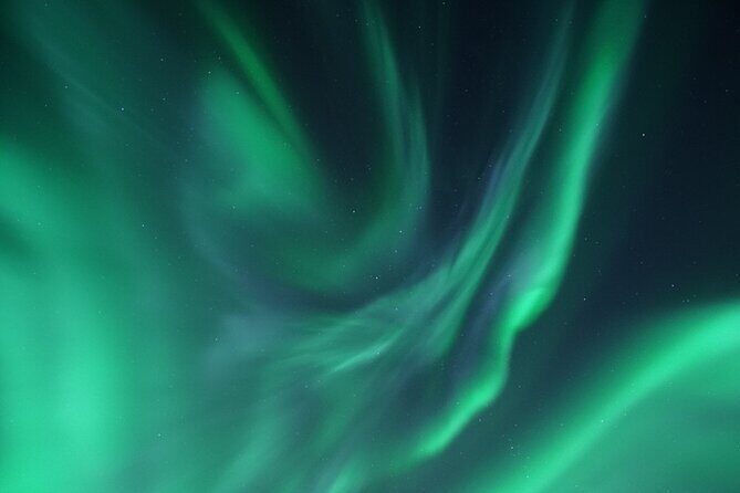 Tromsø: Evening Cruise with Northern Lights Opportunity - Final Thoughts: Who Should Consider This Tour?  