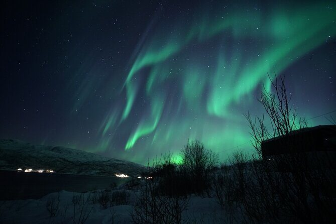 Tromsø: Evening Cruise with Northern Lights Opportunity - FAQ  