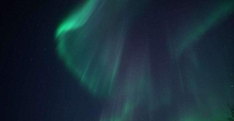 Tromsø: Evening Cruise with Northern Lights Opportunity - The Itinerary in Detail  