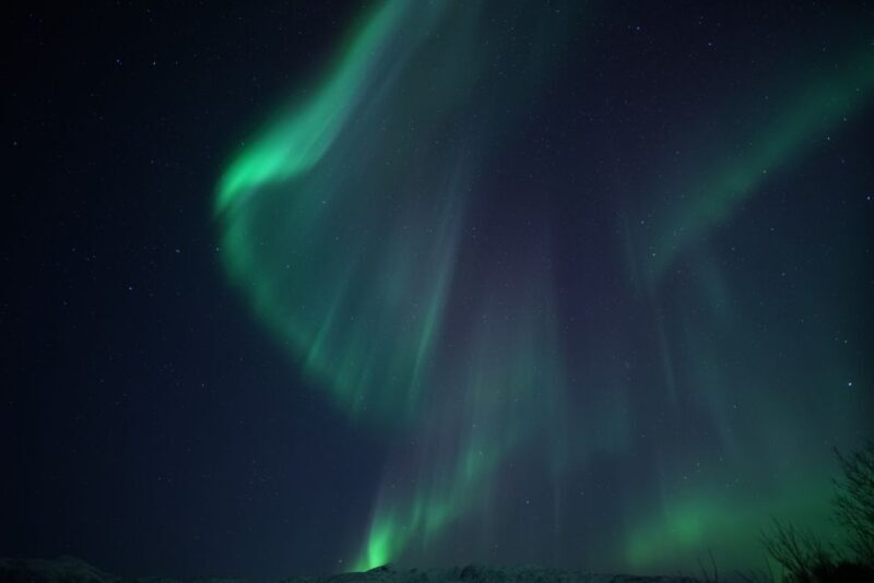 Tromsø: Evening Cruise with Northern Lights Opportunity - What’s Included and What’s Not  