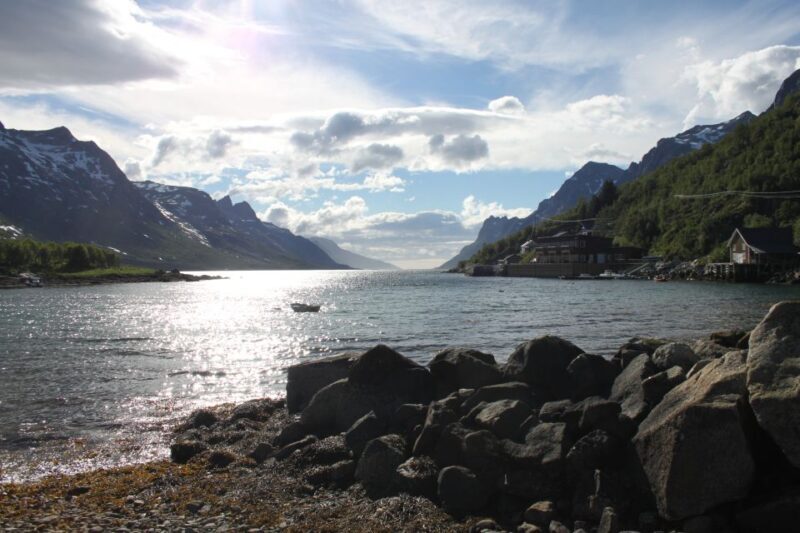 Tromsø: Exclusive Fjord Adventure by Bus - Who Will Love This Tour?