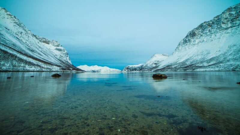 Tromsø: Exclusive Fjord Adventure by Bus - The Sum Up
