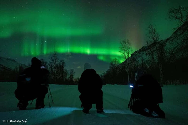 Tromsø: Express Aurora Hunt - Who Would Love This Tour?
