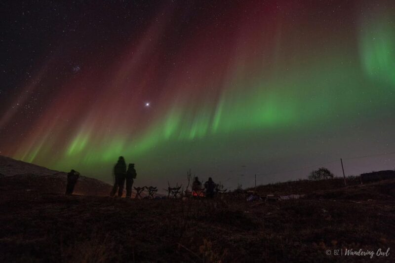 Tromsø: Express Aurora Hunt - Why This Tour Is Worth Considering