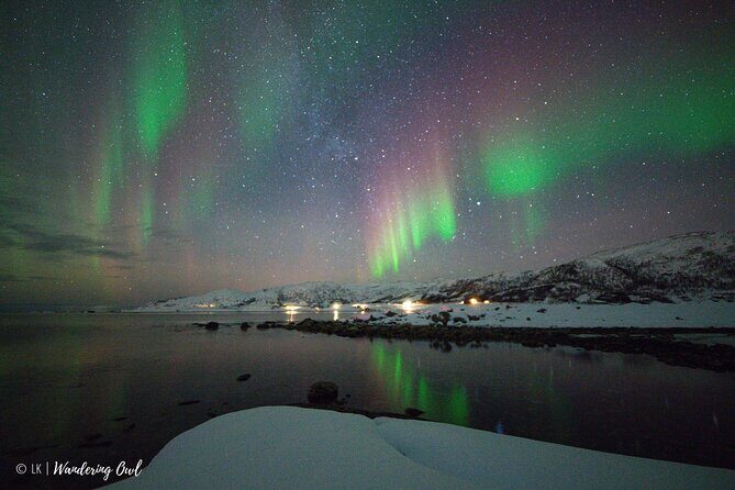 Tromsø: Express Aurora Hunt with Wandering Owl - Tromsø: Express Aurora Hunt with Wandering Owl — An Honest Review