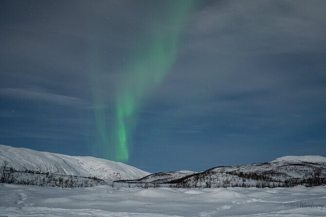 Tromsø: Express Aurora Hunt with Wandering Owl - The Sum Up