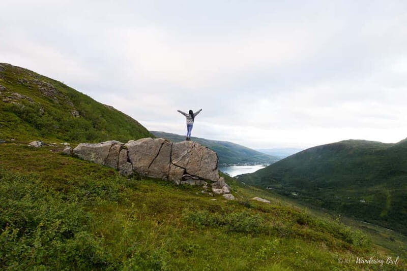 Tromsø: Express Summer Day Hike in the wilderness - Key Points
