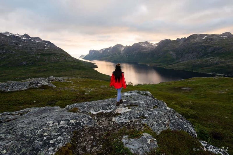 Tromsø: Express Summer Day Hike in the wilderness - The Sum Up
