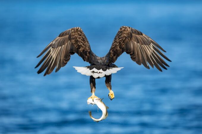 Tromsø: Fishing & Fjord Cruise - Booking and Cancellation Policies