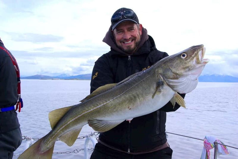 Tromsø: Fishing Sea Safari - Final Thoughts