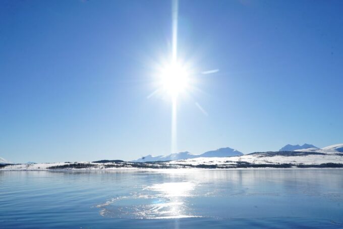 Tromsø: Fjord Cruise by Luxury Yacht - Wildlife and Nature Experiences