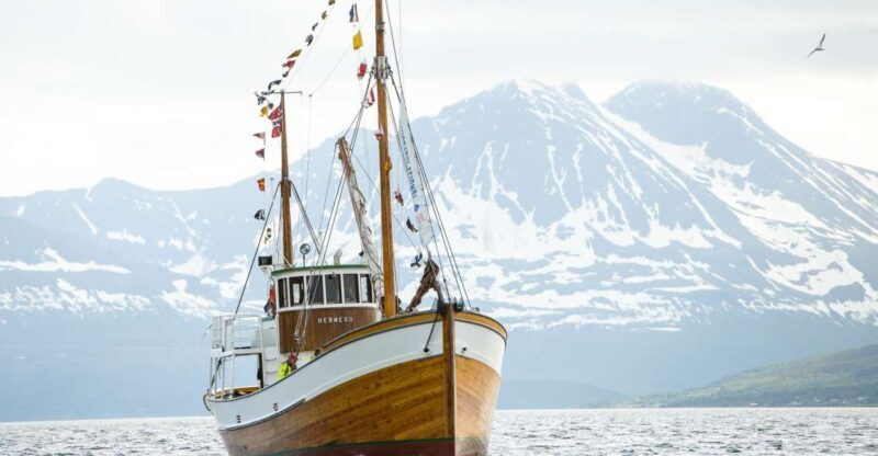 Tromsø: Fjord Fishing Cruise - Key Points