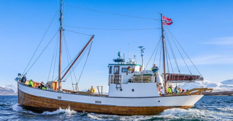 Tromsø: Fjord History Cruise with Snack and Drinks - The Value of This Experience