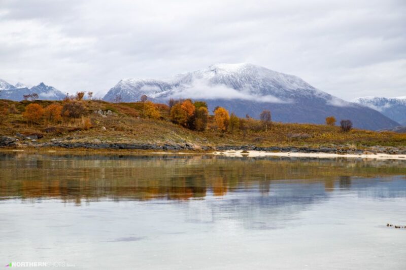 Tromsø: Fjord Photo Tour by Minibus - Customer Reviews