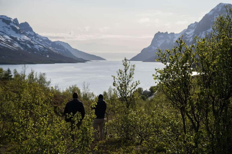 Tromsø: Fjord Tour and Visit to Sommarøy with Expert Tour Guide in Italian - An In-Depth Look at the Tromsø Fjord and Sommarøy Tour