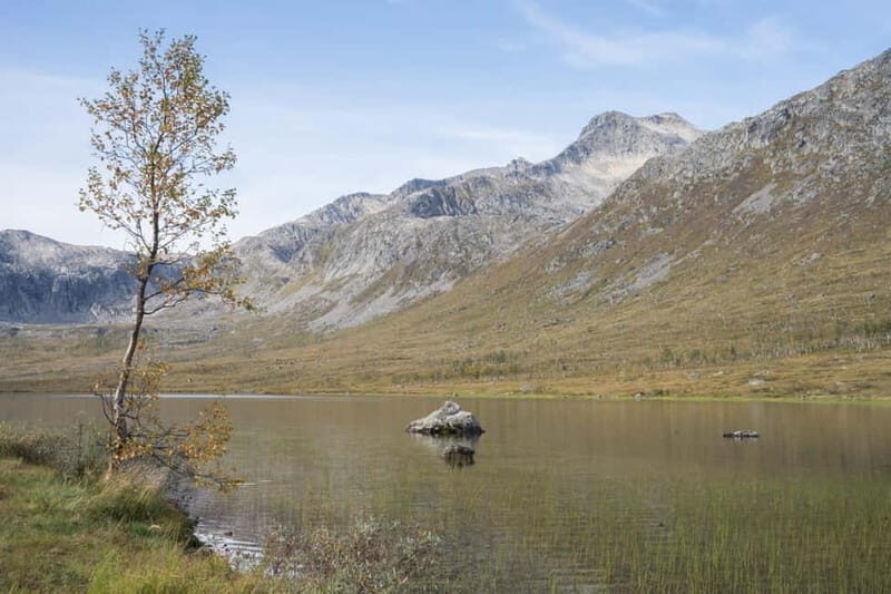 Tromsø: Fjord Tour and Visit to Sommarøy with Expert Tour Guide in Italian - FAQ