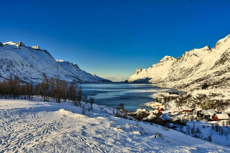 Tromsø: Fjords and Sommarøy Tour with Local Lunch - The Sum Up
