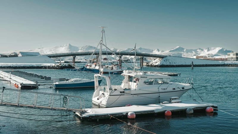 Tromsø: Fjords and Sommarøy Tour with Local Lunch - FAQ