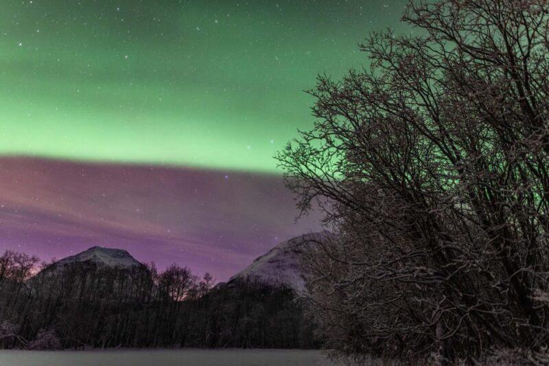 Tromsø: Fjords & Beaches Tour with campfire and photos - Who Will Love This Tour?
