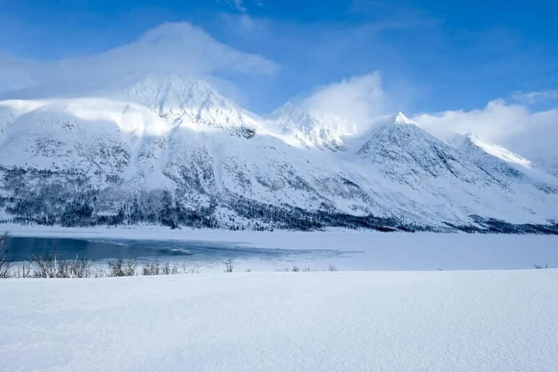Tromsø: Fjords, Mountains and City Highlights Day Tour - Value and Practical Considerations
