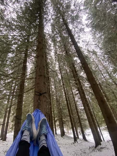 Tromsø: Forest escape adventure - Key Points