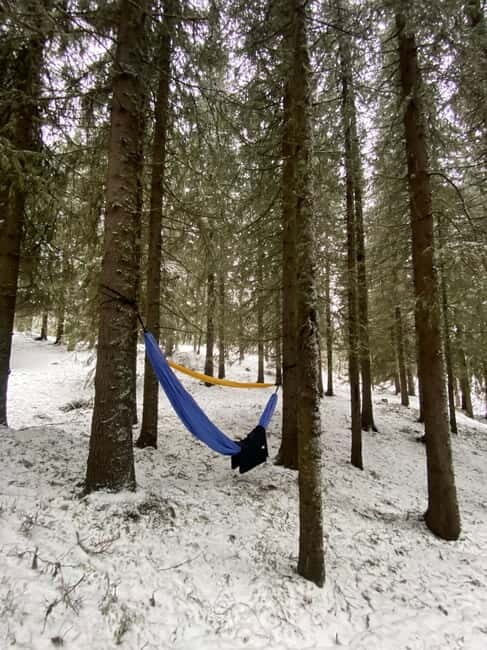 Tromsø: Forest escape adventure - Authenticity & Unique Touches