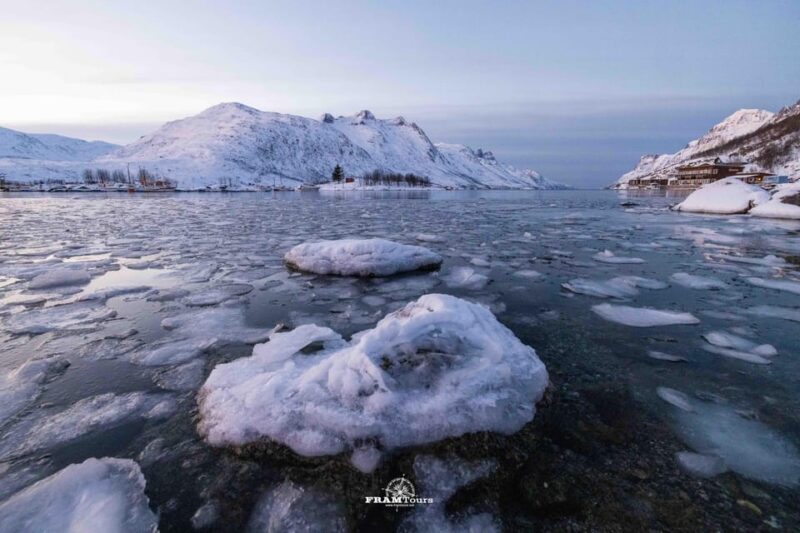 Tromso: Guided Fjord Expedition in Kvaløya with Light Lunch - Final Thoughts