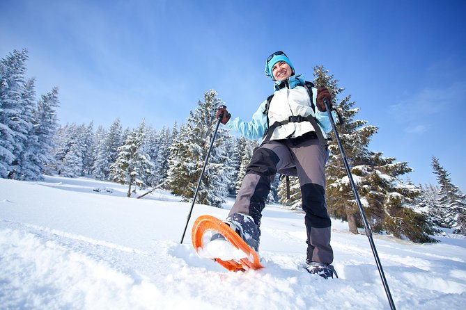 Tromso Guided Snowshoe Trip - Mixed Feedback