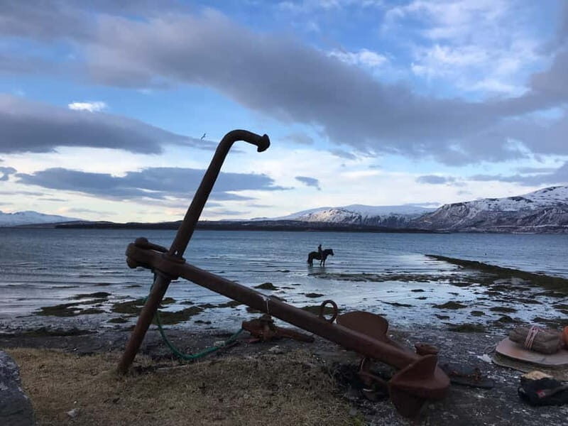 Tromsø: Horseback Riding Tour - Key Points