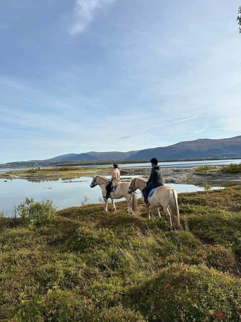 Tromsø: Horseback Riding Tour - The Real Value of the Experience