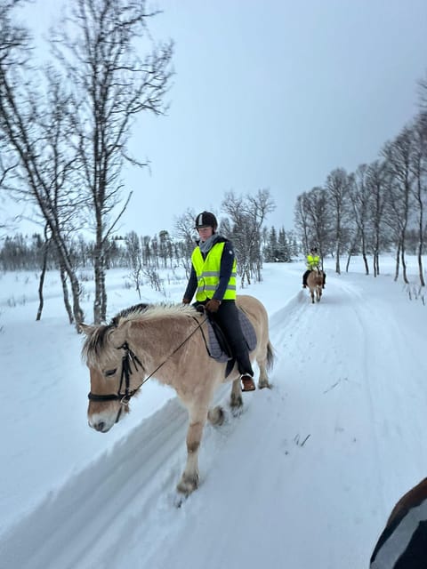 Tromsø: Horseback Riding Tour - A Ride Outside Tromsø: What to Expect