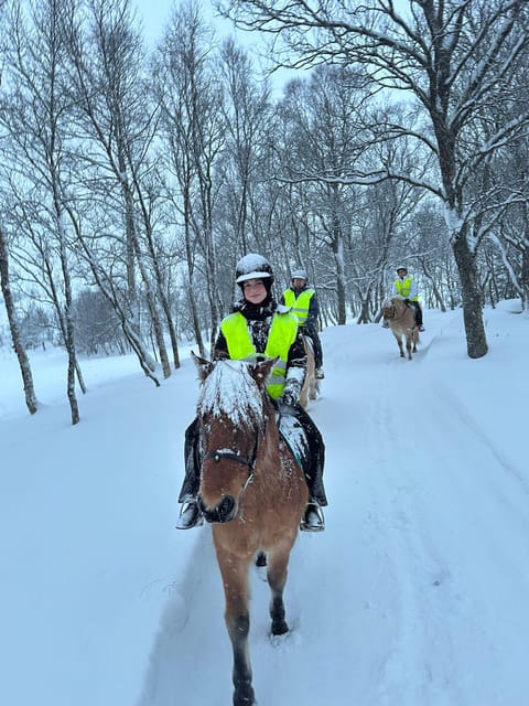 Tromsø: Horseback Riding Tour - Who Will Love This Tour?