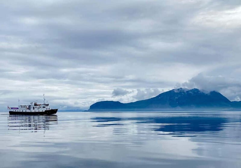 Tromsø: Incredible Cruise of The Outer Fjord - Who Should Consider This Tour?