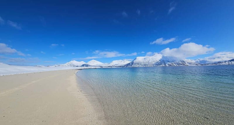 Tromsø: Kvaløya and Sommarøy Guided Tour with Lunch - An In-Depth Look at the Tour
