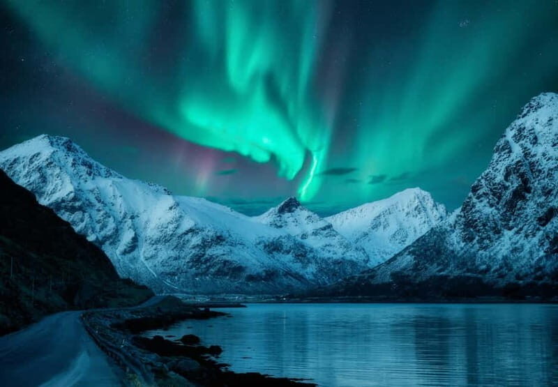 Tromsø: Long Northern Light Tour with Dinner - The Practicalities and Value