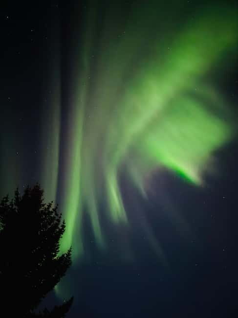 Tromsø: Long Northern Light Tour with Dinner - Who Will Love This Tour?