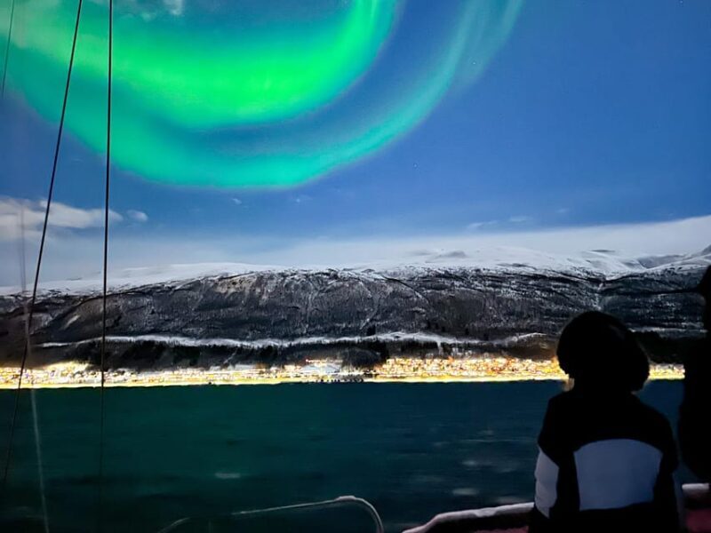 Tromso: Luxury Northern Lights Cruise with Hot Tub & Dinner - Profiles of the Ideal Participant