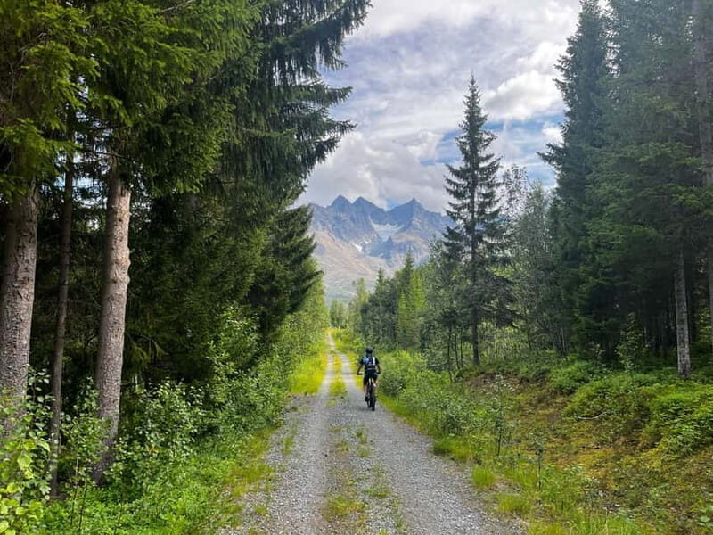 Tromsø: Lyngen Alps Electric Mountain Bike Tour - An In-Depth Look at the Lyngen Alps E-Mountain Bike Tour