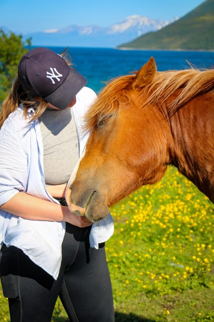 Tromsø: Lyngen Horse Summer Evening Riding Experience - Key Points