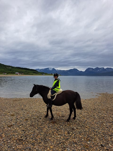 Tromsø: Lyngen Horse Summer Riding Experience - Who Will Love This Tour?