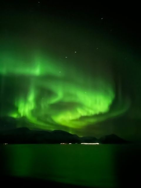 Tromsø: Lyngen Horse Winter Evening Riding Experience - The Itinerary: What to Expect