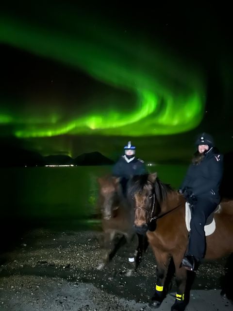 Tromsø: Lyngen Horse Winter Evening Riding Experience - Authenticity and Educational Value